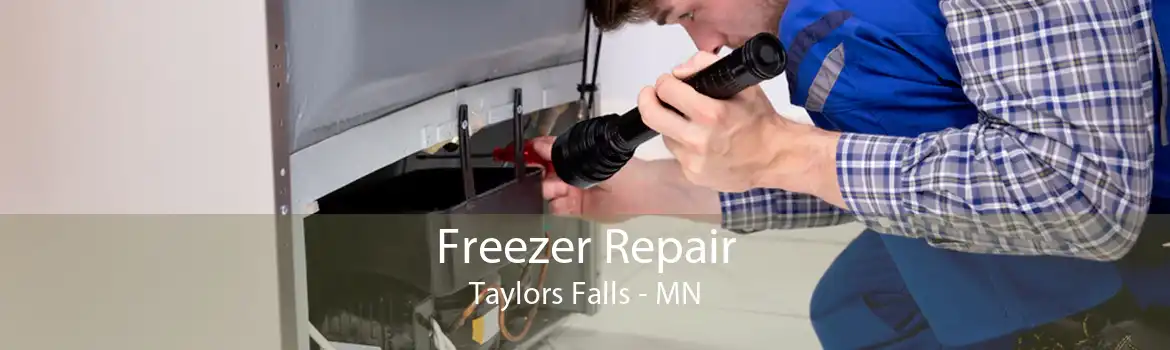 Freezer Repair Taylors Falls - MN