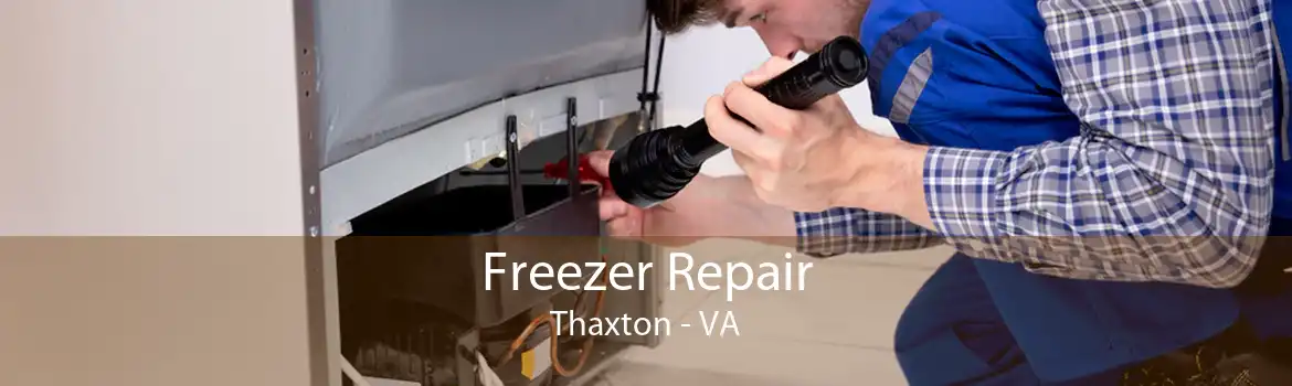 Freezer Repair Thaxton - VA