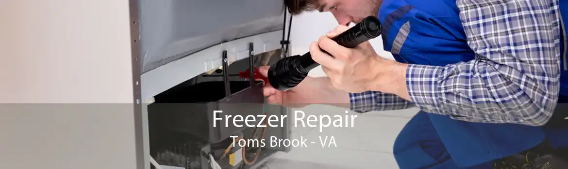 Freezer Repair Toms Brook - VA