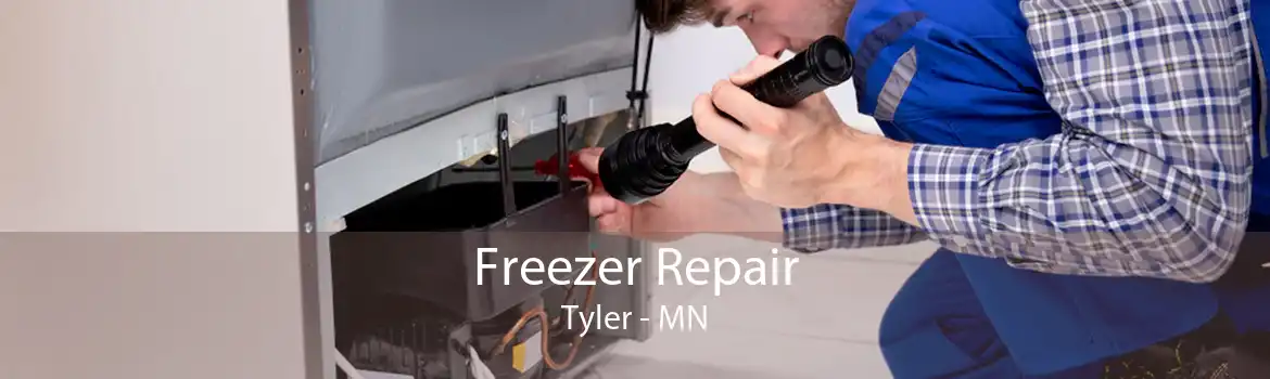 Freezer Repair Tyler - MN