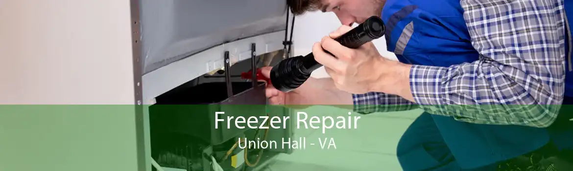 Freezer Repair Union Hall - VA