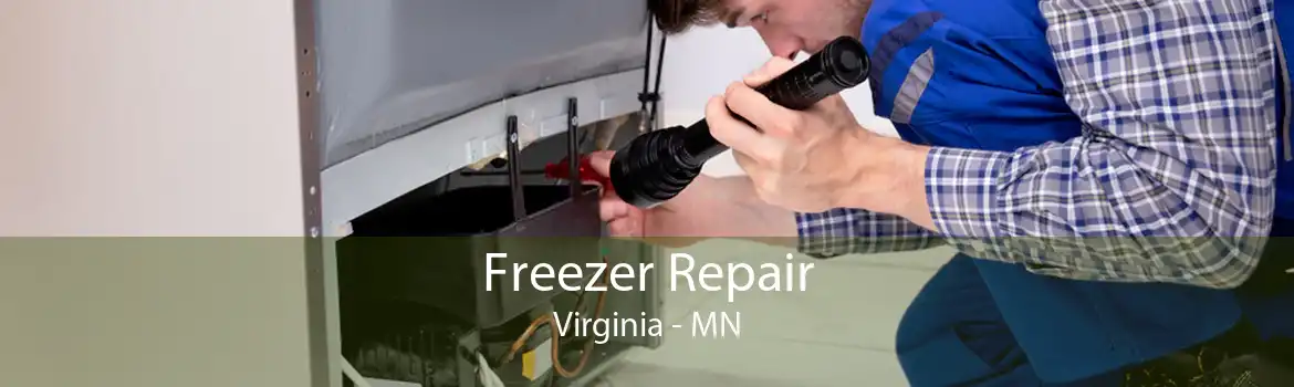 Freezer Repair Virginia - MN