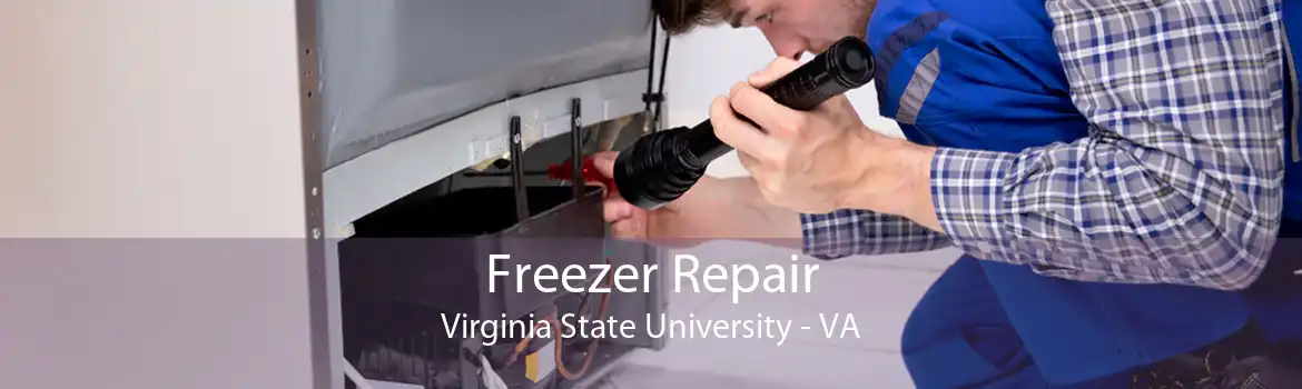 Freezer Repair Virginia State University - VA