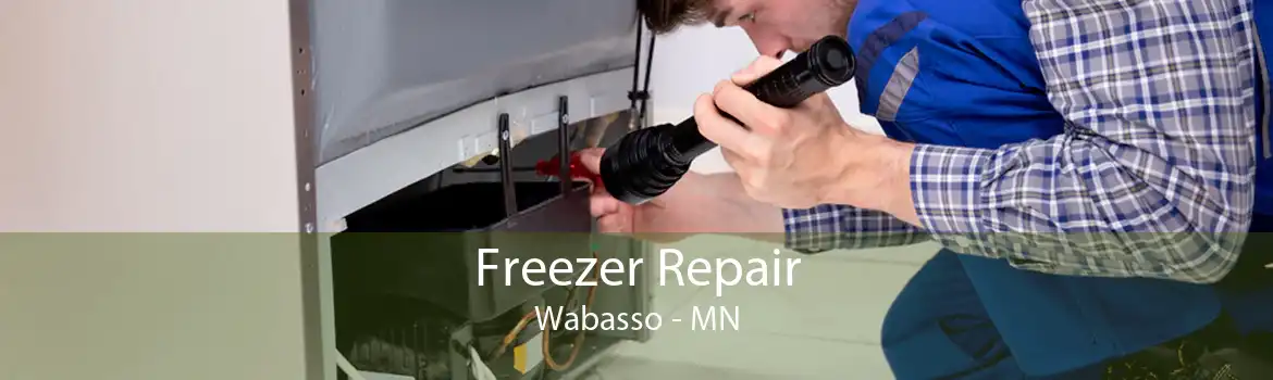 Freezer Repair Wabasso - MN