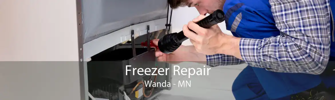Freezer Repair Wanda - MN