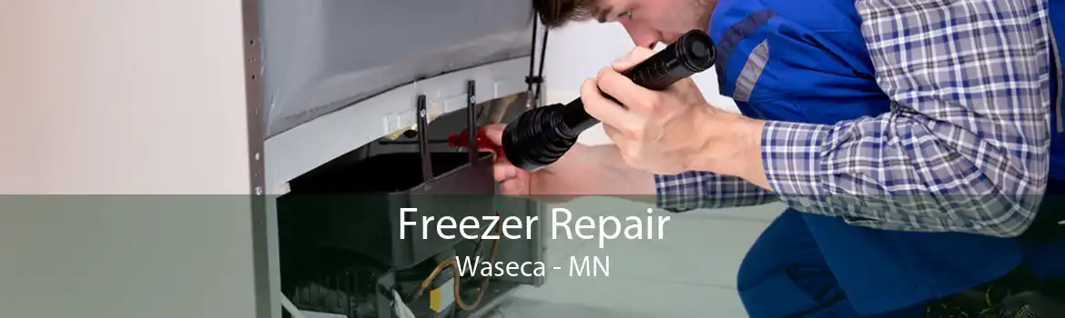 Freezer Repair Waseca - MN