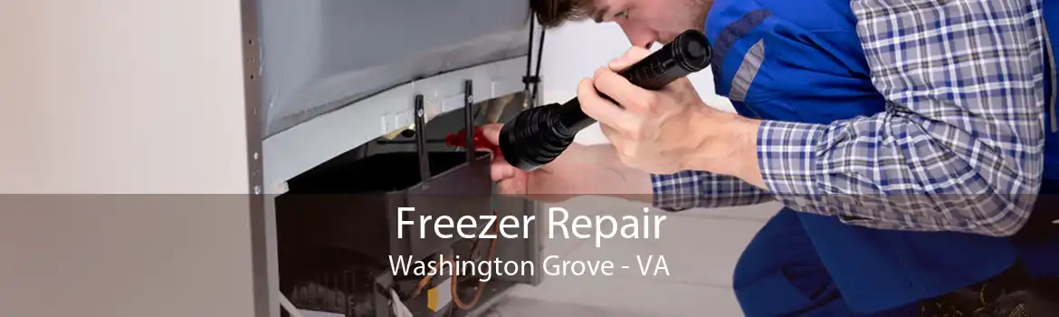 Freezer Repair Washington Grove - VA