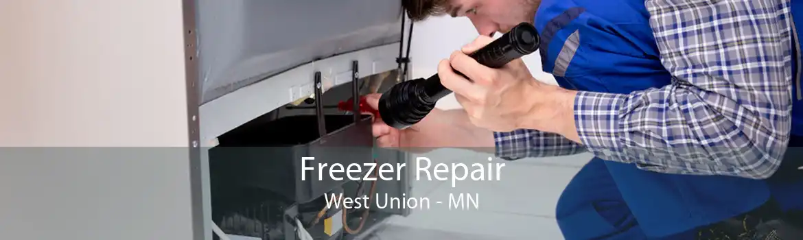 Freezer Repair West Union - MN