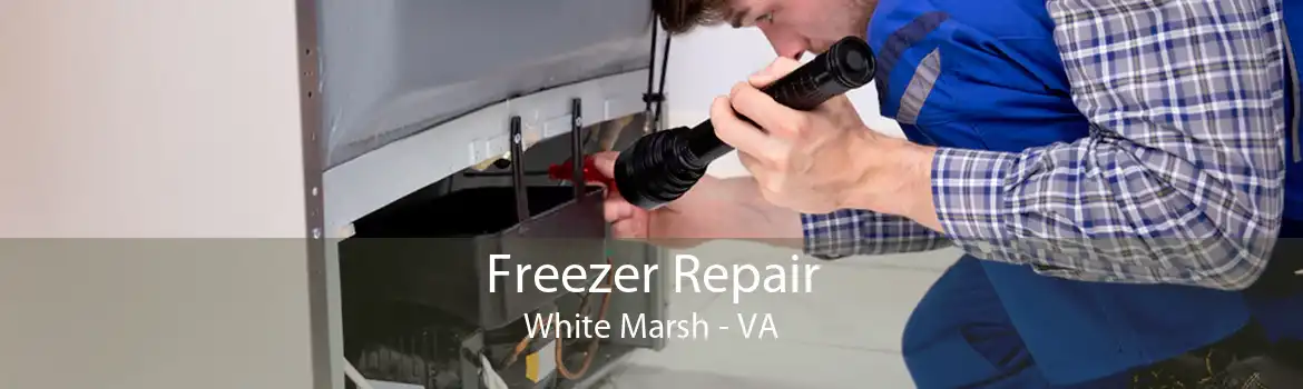 Freezer Repair White Marsh - VA