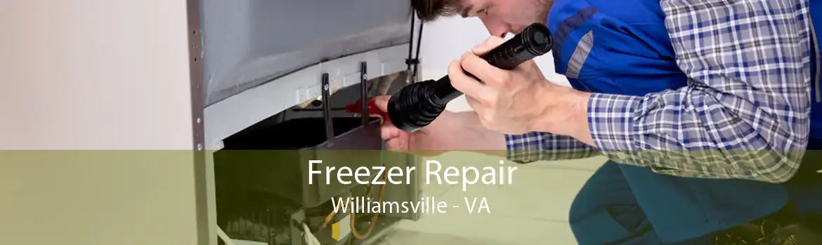 Freezer Repair Williamsville - VA