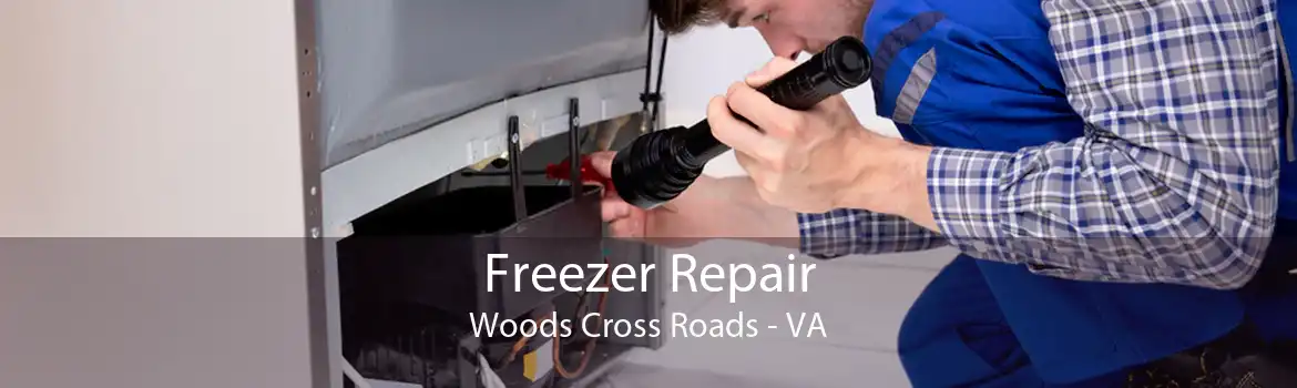 Freezer Repair Woods Cross Roads - VA