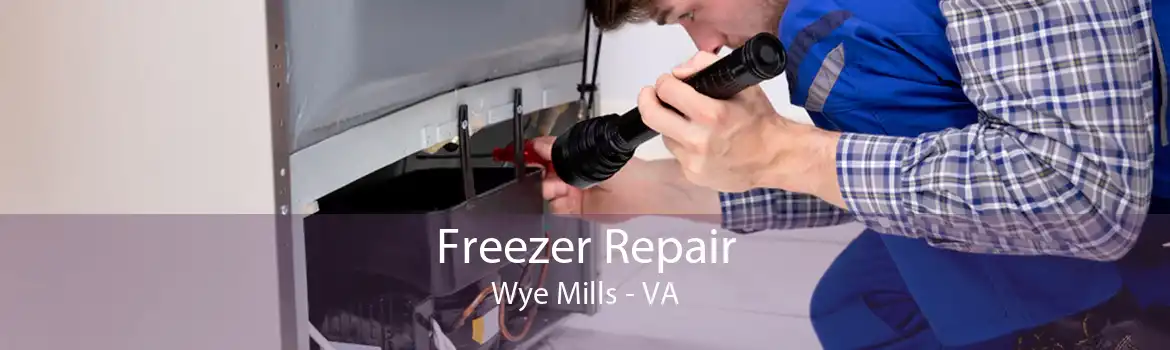 Freezer Repair Wye Mills - VA