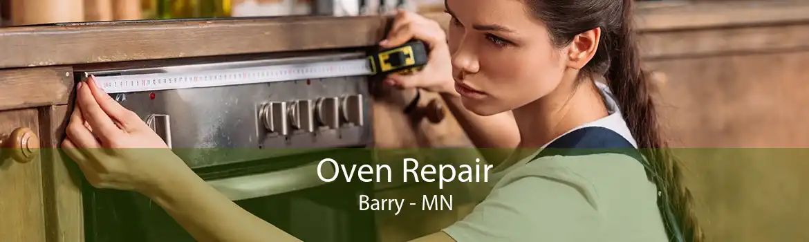 Oven Repair Barry - MN