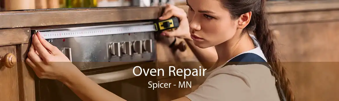 Oven Repair Spicer - MN
