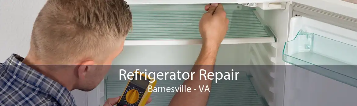Refrigerator Repair Barnesville - VA
