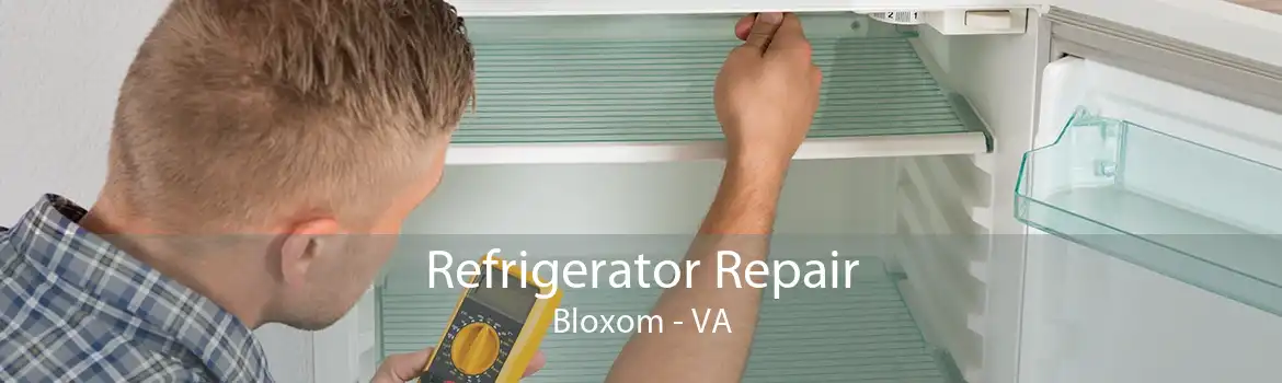 Refrigerator Repair Bloxom - VA