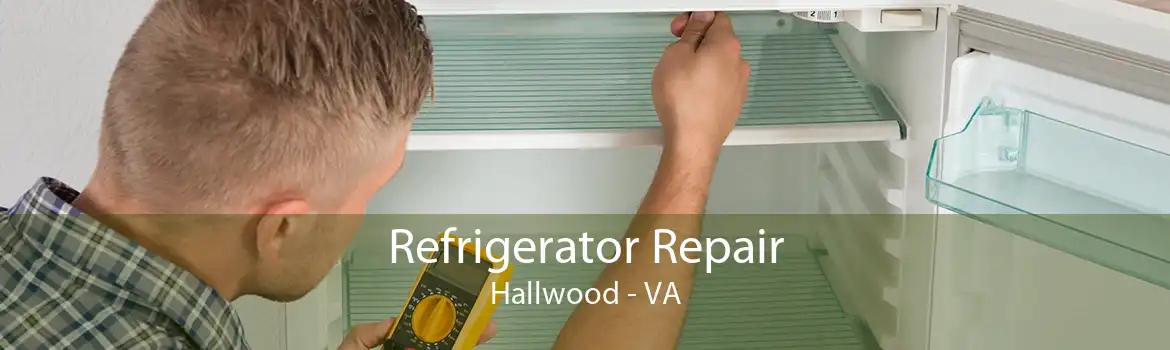 Refrigerator Repair Hallwood - VA