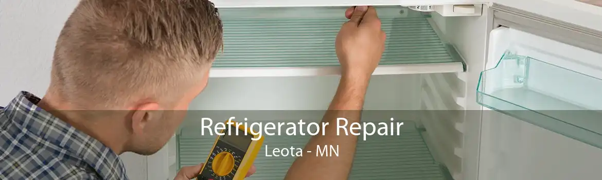 Refrigerator Repair Leota - MN