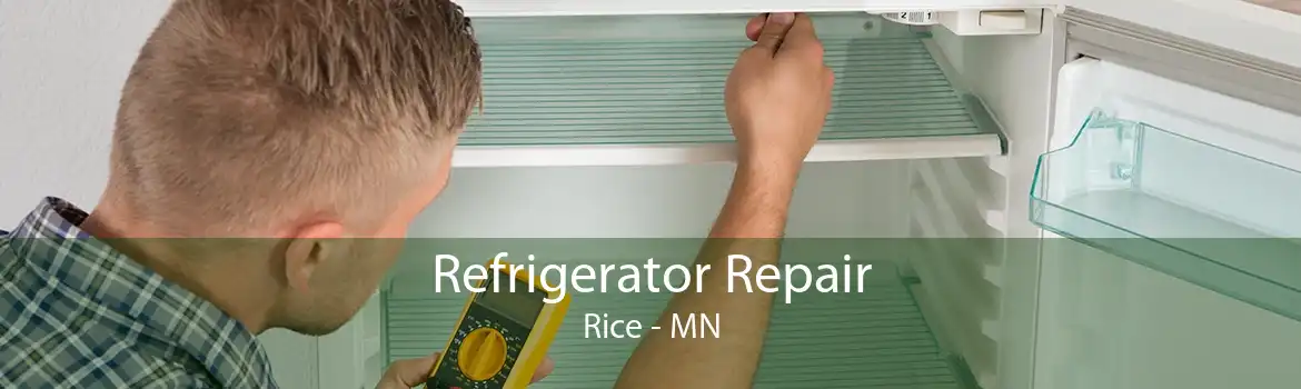 Refrigerator Repair Rice - MN