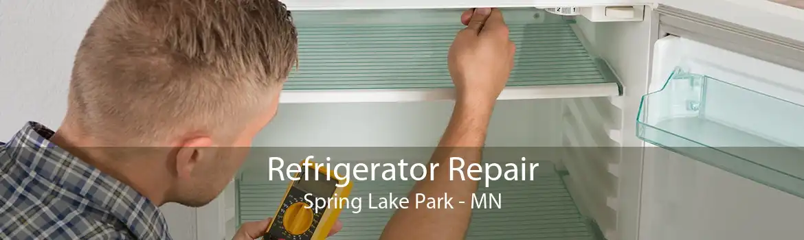 Refrigerator Repair Spring Lake Park - MN