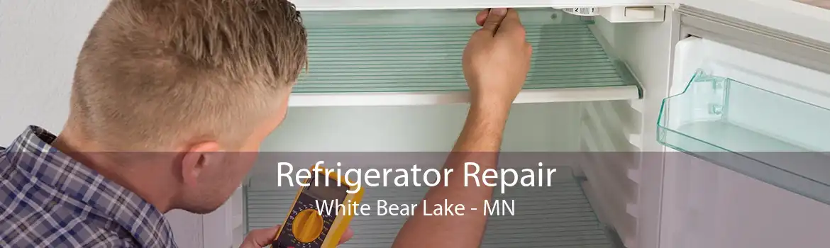 Refrigerator Repair White Bear Lake - MN