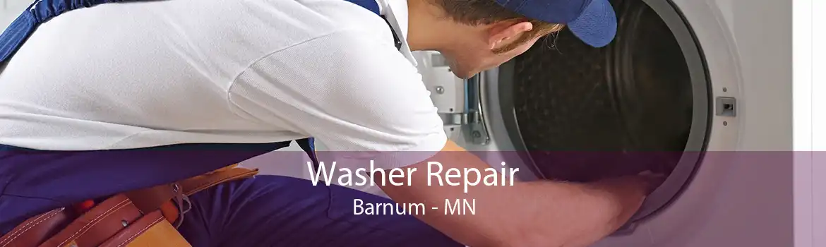 Washer Repair Barnum - MN
