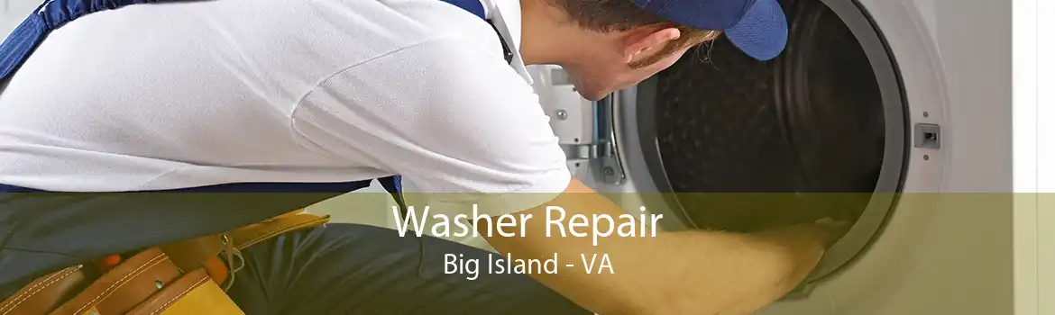 Washer Repair Big Island - VA