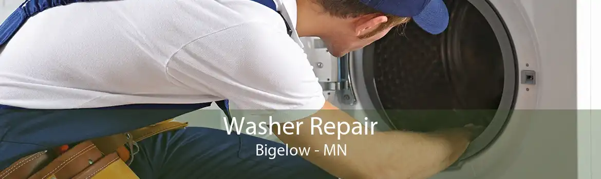 Washer Repair Bigelow - MN