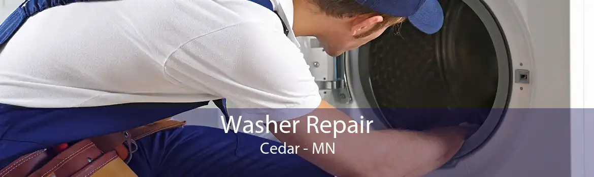 Washer Repair Cedar - MN
