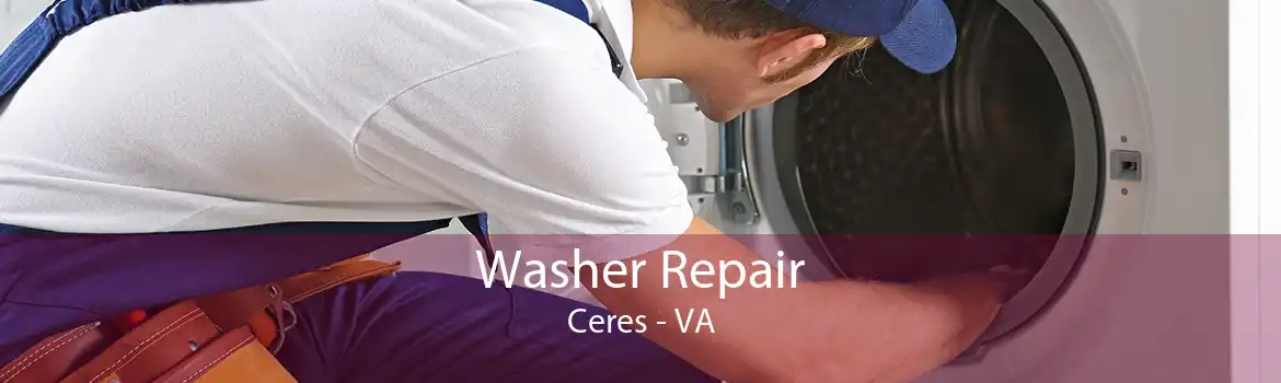 Washer Repair Ceres - VA