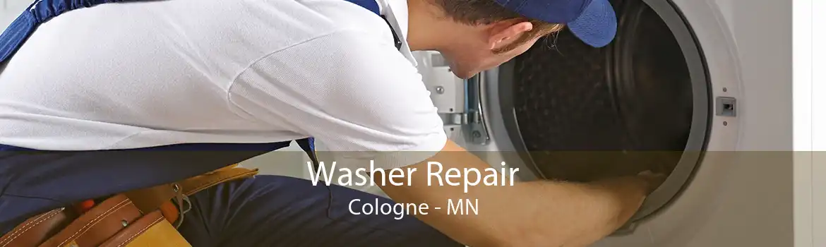 Washer Repair Cologne - MN