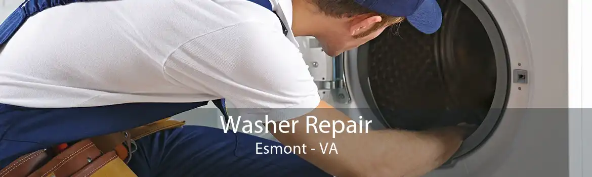 Washer Repair Esmont - VA