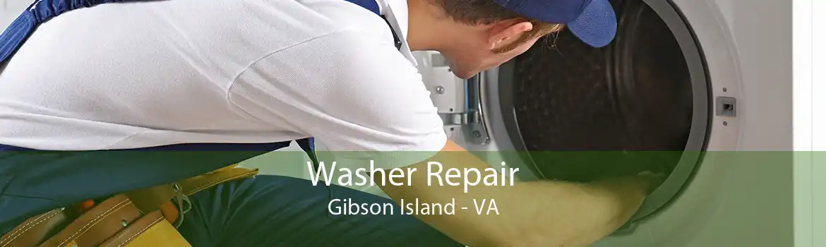 Washer Repair Gibson Island - VA