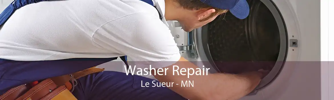 Washer Repair Le Sueur - MN
