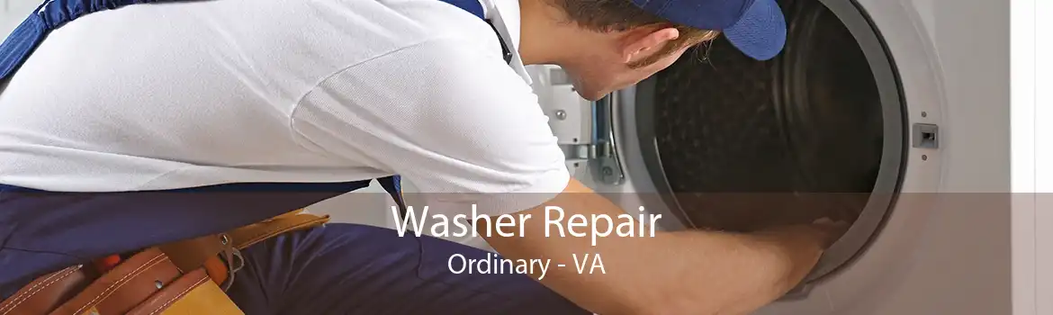 Washer Repair Ordinary - VA