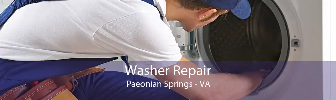Washer Repair Paeonian Springs - VA