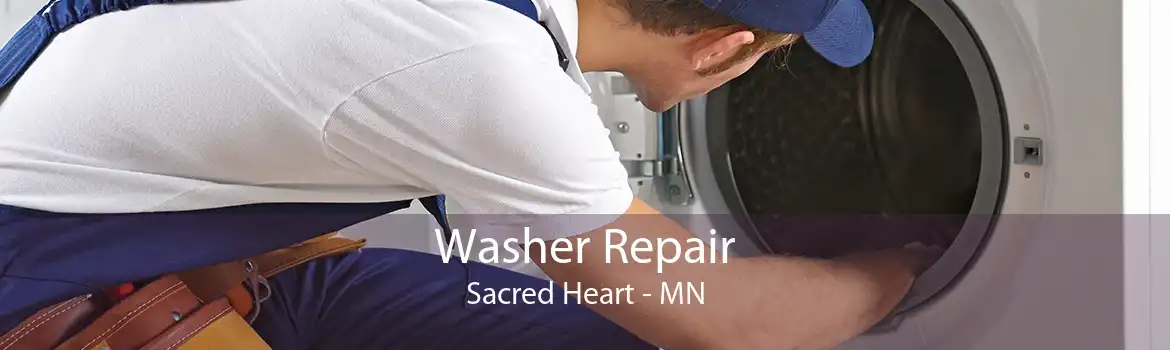 Washer Repair Sacred Heart - MN