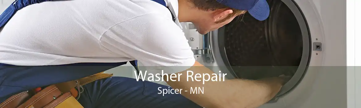 Washer Repair Spicer - MN