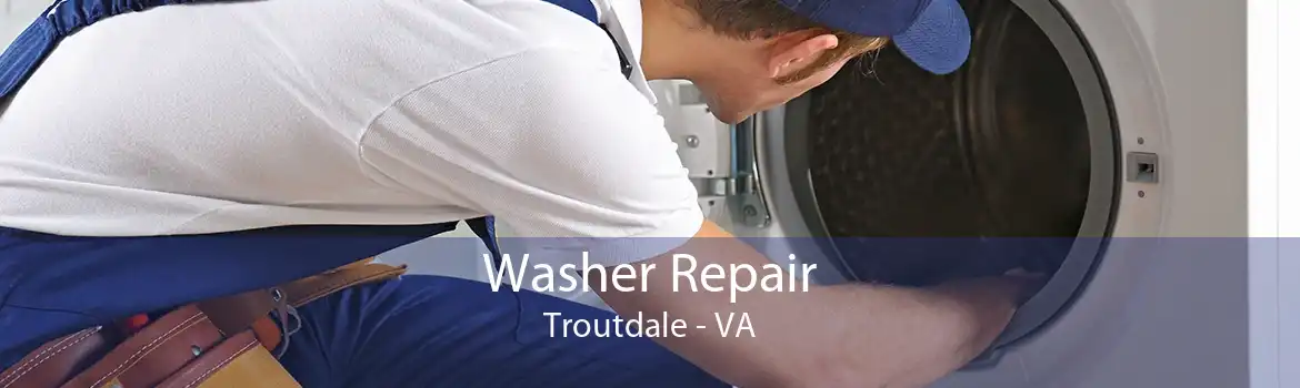 Washer Repair Troutdale - VA